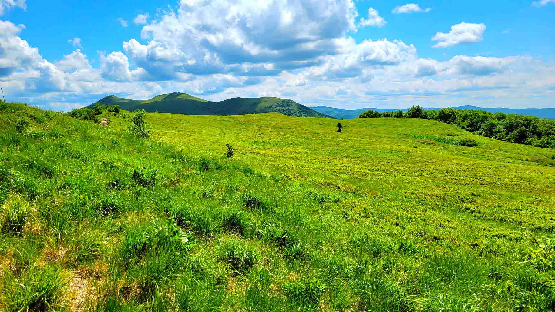 Przełęcz Orłowicza - view from the pass